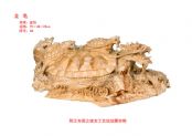 龙龟